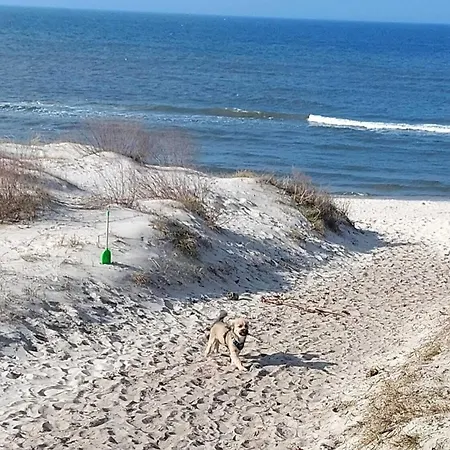 Σπίτι διακοπών Domus Mare Tiny House 1 *