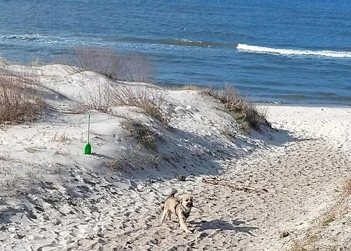 بيت للعطل Domus Mare Tiny House 1 *